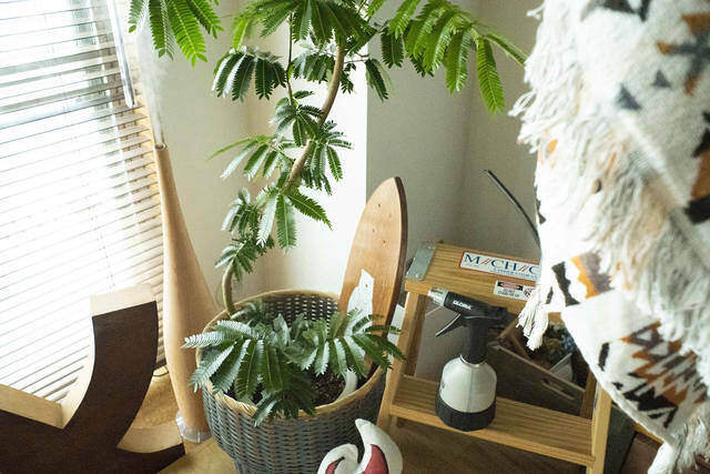 見せる収納は家計にも優しい!? コンテナ使いが巧みなキャンパーリノベ部屋