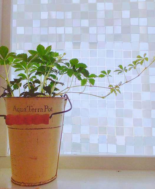 【お風呂窓の目隠し】内側・外側、みんなはどうしてる?