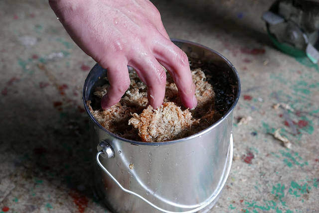 ウォールグリーンを楽しむ！簡単に作れて飾れるDIYプランター