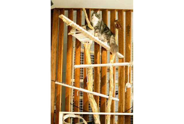 ピアノに合わせて構築された大人の音楽部屋