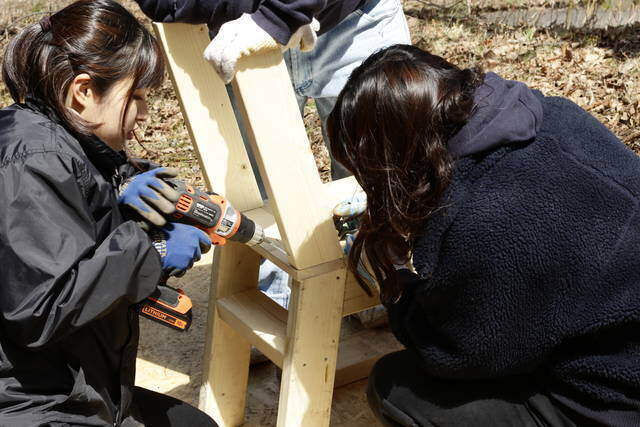 【デザイン募集！】あなたのアイデアが形になる！人と人を繋げるツリーハウスプロジェクト