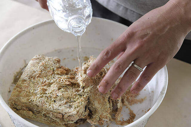 植物は“置かず”に“掛ける”時代へ！省スペースかつおしゃれなプランターをDIY