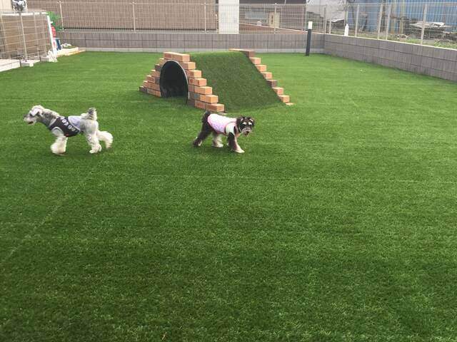 庭のリフォームアイデアを一挙紹介！費用の目安＆憧れエクステリア事例も♪