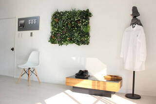 低予算なのに本格派！ウォールグリーンDIYで壁を飾ろう | カシワバラさんの暮らし。