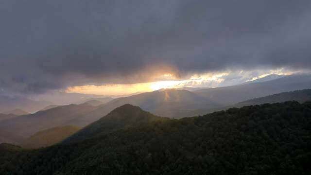 春夏秋冬・朝昼晩と映えまくり！DJIも認めたツリーハウスって知ってる？