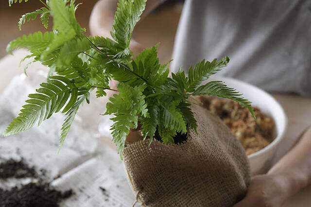 植物は“置かず”に“掛ける”時代へ！省スペースかつおしゃれなプランターをDIY