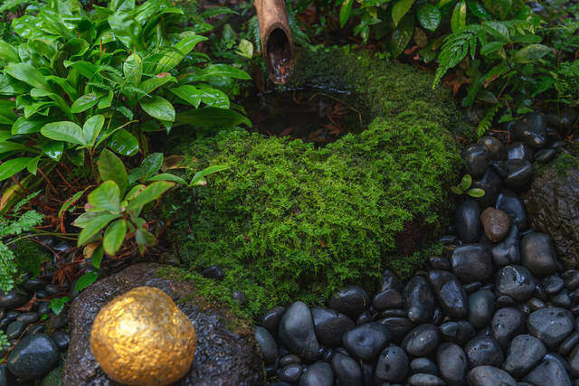 庭に砂利を敷きたい!化粧砂利の施工例とオシャレな庭作りのヒント