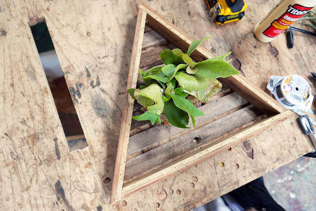 ウォールグリーンを楽しむ！簡単に作れて飾れるDIYプランター