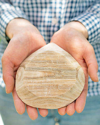 身近な素材で作る温故知新な木工スタイル!採れたて生木で小粋な豆皿をDIY