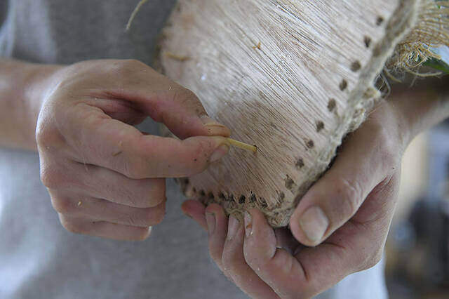 植物は“置かず”に“掛ける”時代へ!省スペースかつおしゃれなプランターをDIY