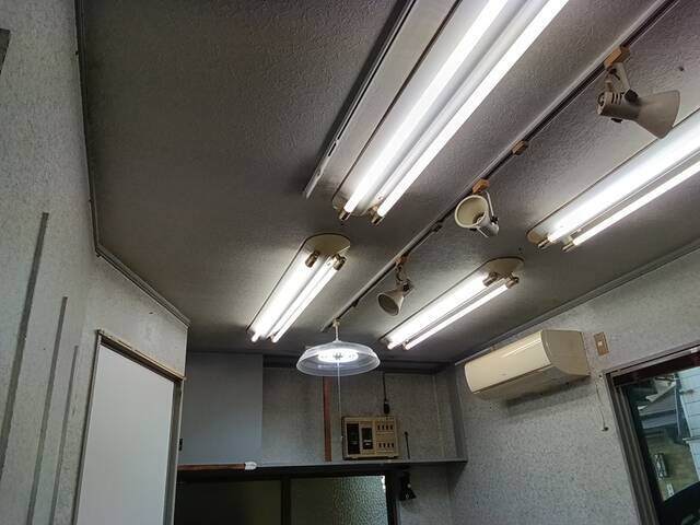 (87213)