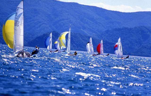 【デザイン募集！】あなたのアイデアが形になる！人と人を繋げるツリーハウスプロジェクト