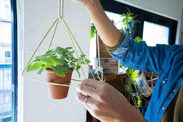 2本の真鍮で作る洒落顔DIY!インテリアを選ばず映えるプラントハンガー