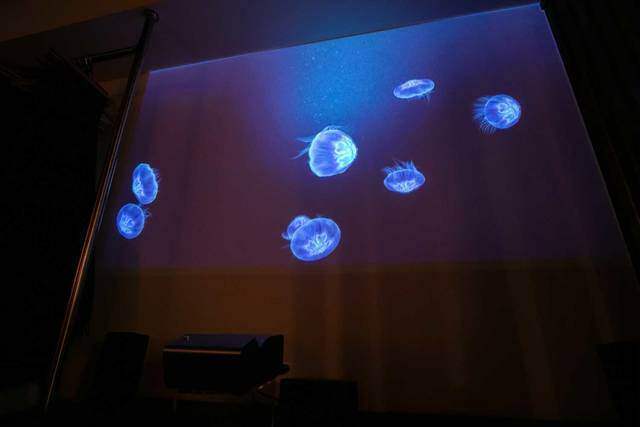 パーテーションで目を惹くデザインに！ラグジュアリーさを意識したリノベルーム