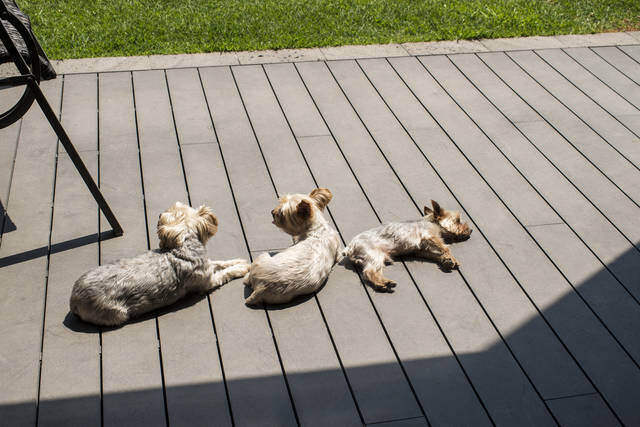 リビングに開放感!憧れのウッドデッキ施工例と気になる費用