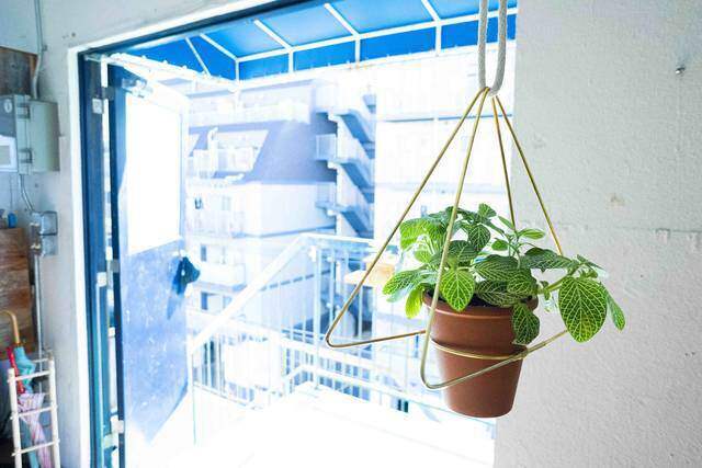 2本の真鍮で作る洒落顔DIY!インテリアを選ばず映えるプラントハンガー