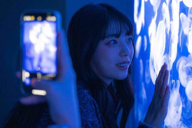クラゲに見入るしゅうさんを撮影するひわさん