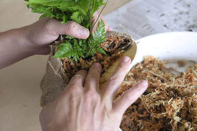 植物は“置かず”に“掛ける”時代へ！省スペースかつおしゃれなプランターをDIY