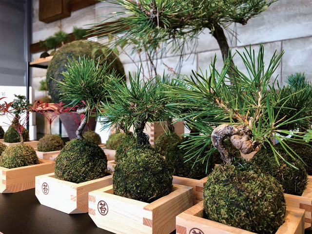 遊びも学びも音楽も!THE CAMP BOOKで大自然を満喫!