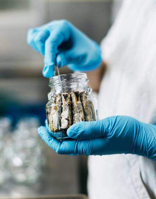 ホステル ×カフェ×食品加工場！リノベで築50年の古さを楽しむイワシビル