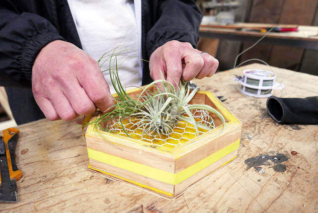 ハニカムデザインで洒落度アップ！壁掛けプランターの作り方！