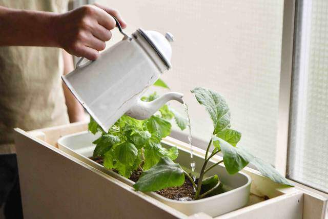 ベランダをもっと楽しもう！2段プランターラックをDIY。