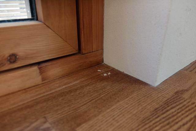 カビ＆汚れスッキリ！珪藻土壁の正しいお手入れ方法