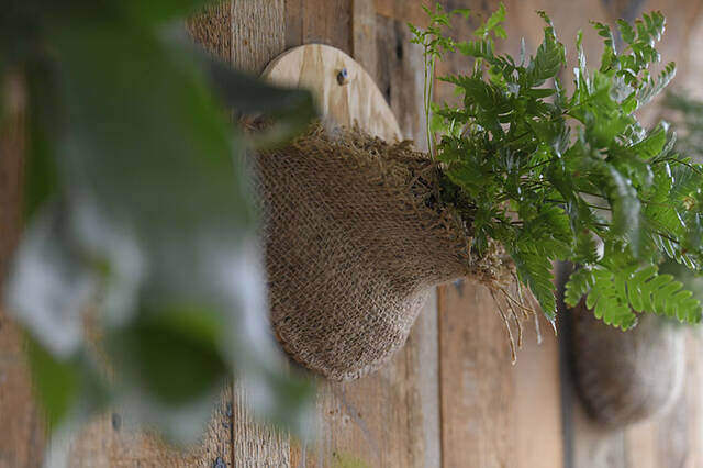 植物は“置かず”に“掛ける”時代へ！省スペースかつおしゃれなプランターをDIY
