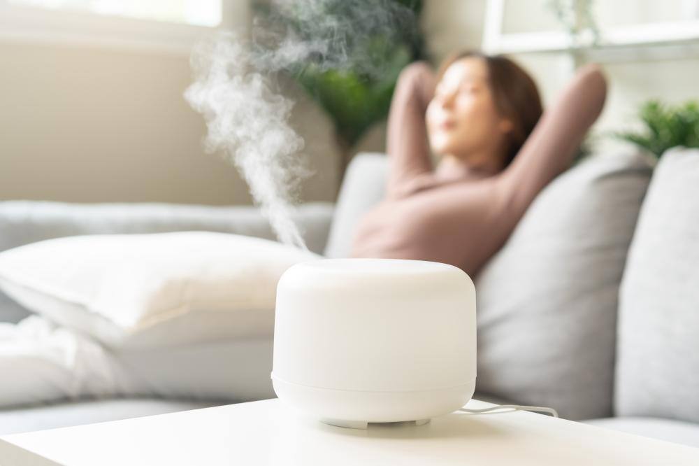乾燥のトラブルには加湿器が効果的