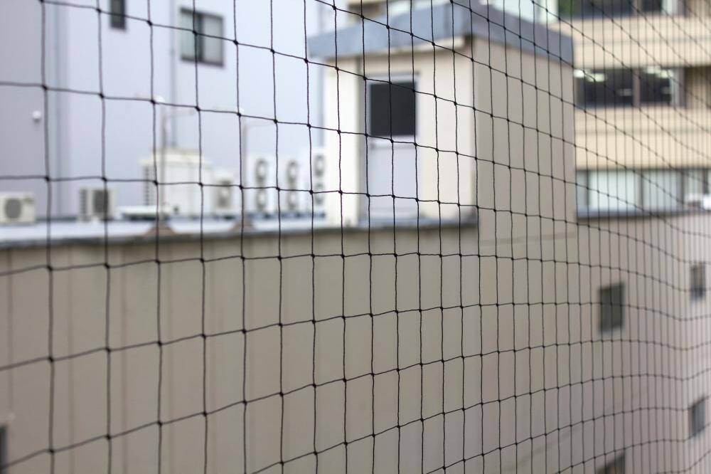 バードネットで鳥の侵入を防げる